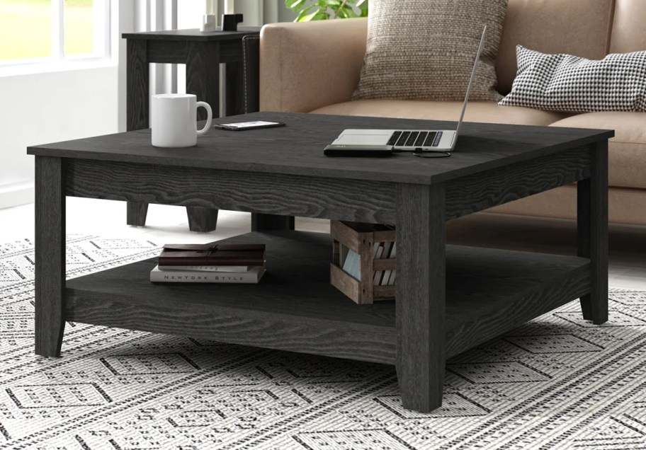 Lark Manor Justine Basilico Coffee Table with Storage