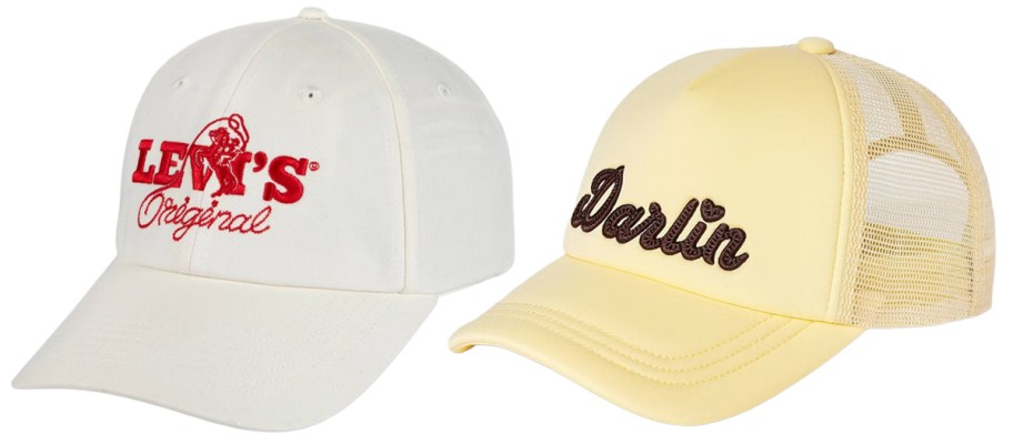 Levi's Men's Cowboy Hat and Wild Fable Darlin Star Trucker Hat