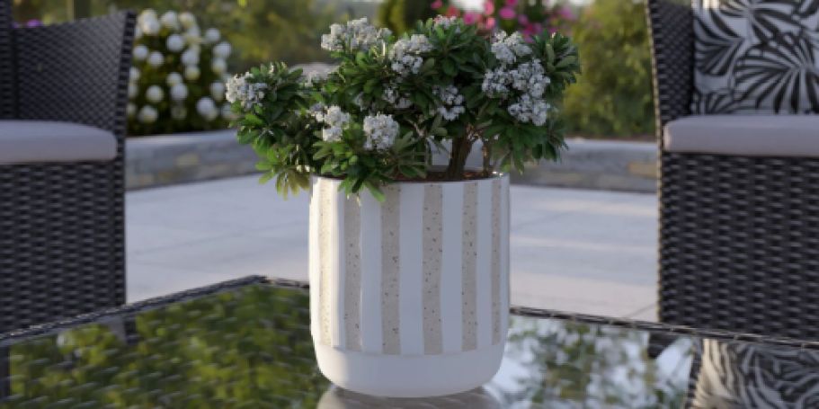 Up to 50% Off Planters on Lowes.com | Styles from $6.98 Shipped