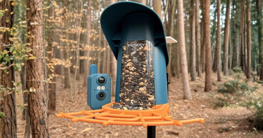 Smart Bird Feeder w/ Camera Just $30 Shipped on Amazon (Reg. $80)