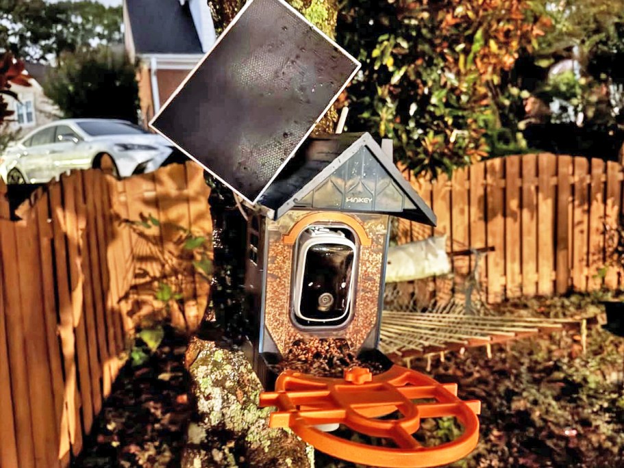 Solar-Powered Smart Bird Feeder Only $29.99 Shipped on Amazon (Reg. $100)