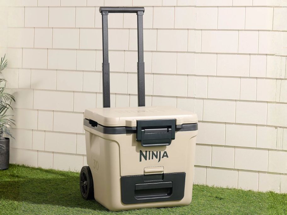 beige Ninja FrostVault 30-qt Wheeled Cooler w/ Dry Zone next to house