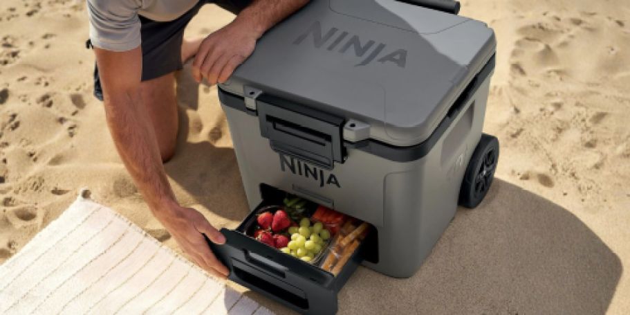 RUN! OVER $70 Off Ninja FrostVault Cooler w/ DryZone + FREE Shipping