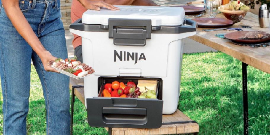 OVER $60 Off Ninja FrostVault Cooler w/ DryZone + Free Shipping
