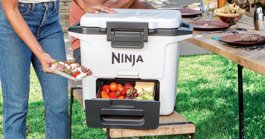 OVER $60 Off Ninja FrostVault Cooler w/ DryZone + Free Shipping