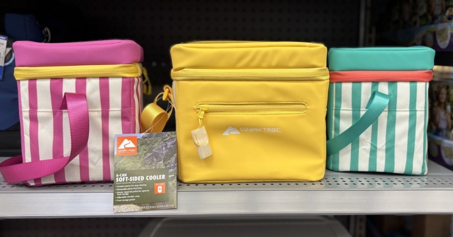 NEW Ozark Trail Can Coolers at Walmart (UNDER $11)