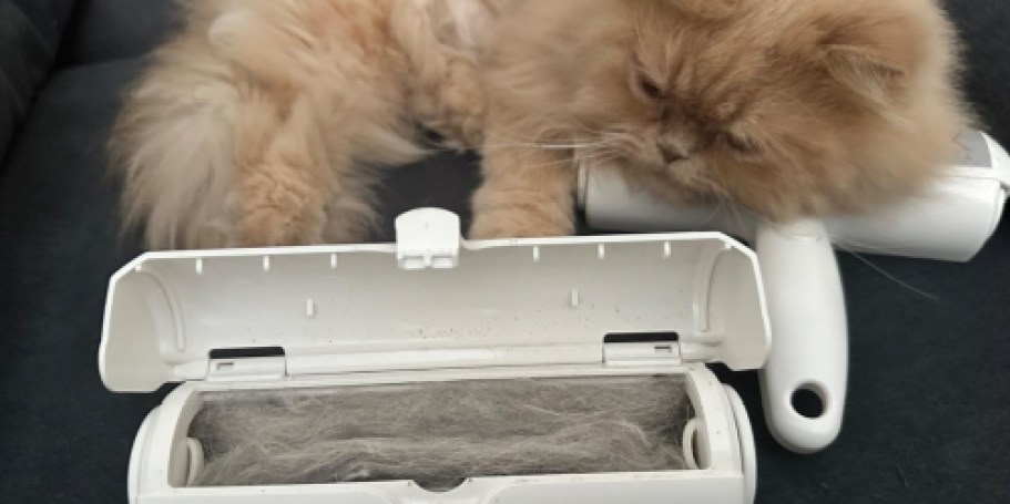 Pet Hair Remover Roller Just $12 on Amazon (Chom Chom Alternative)