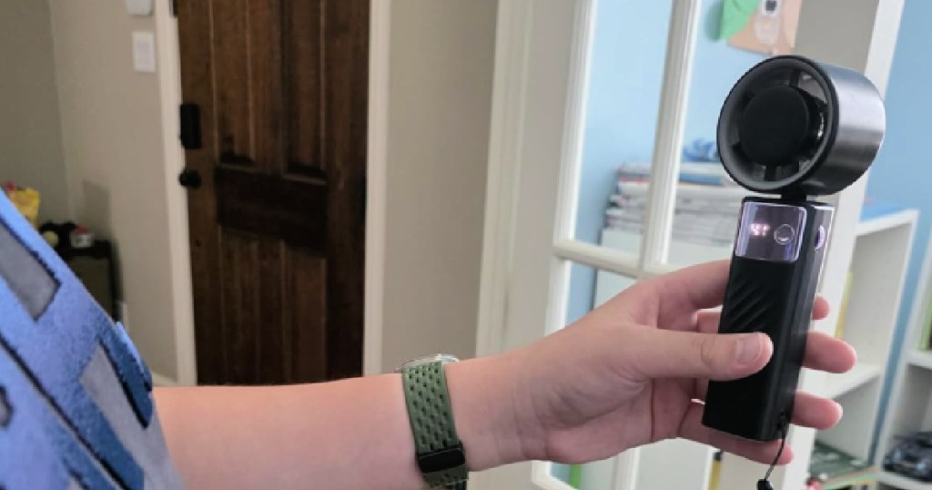 Hand holding black small fan