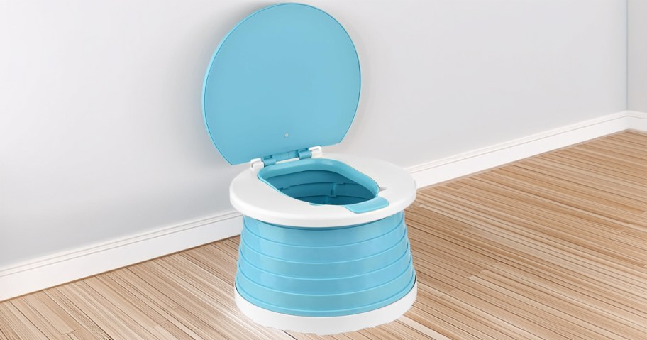 Portable Potty for Toddlers