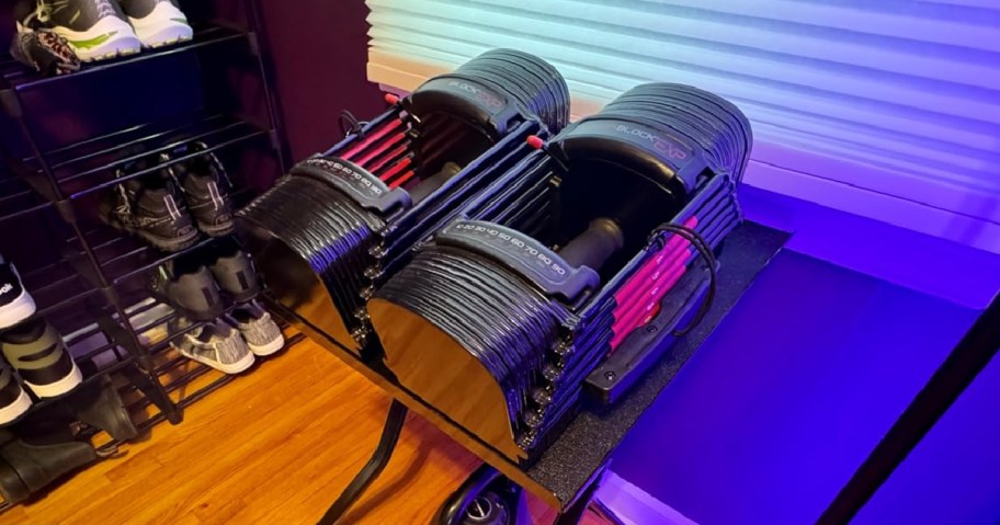PowerBlock EXP weights on a table