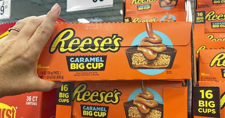 Reese’s Big Cups 16-Count Only $6 Shipped (Reg. $13)