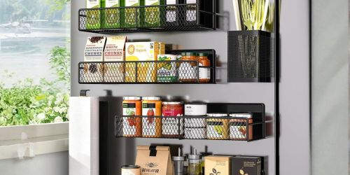 SIX Magnetic Spice Racks Only $15.99 Shipped for Prime Members
