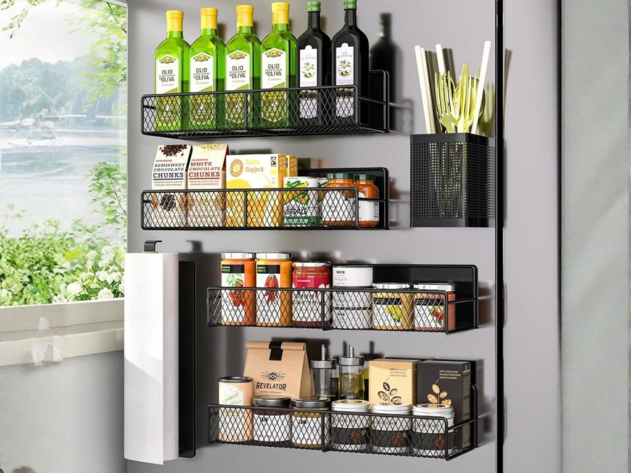 Refrigerator Magnetic Spice Rack 6-Pack