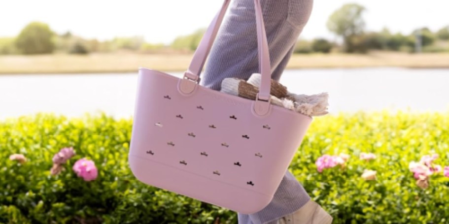 Simple Modern Disney Totes from $37.50 Shipped on Amazon – Bogg Bag Look for Less!