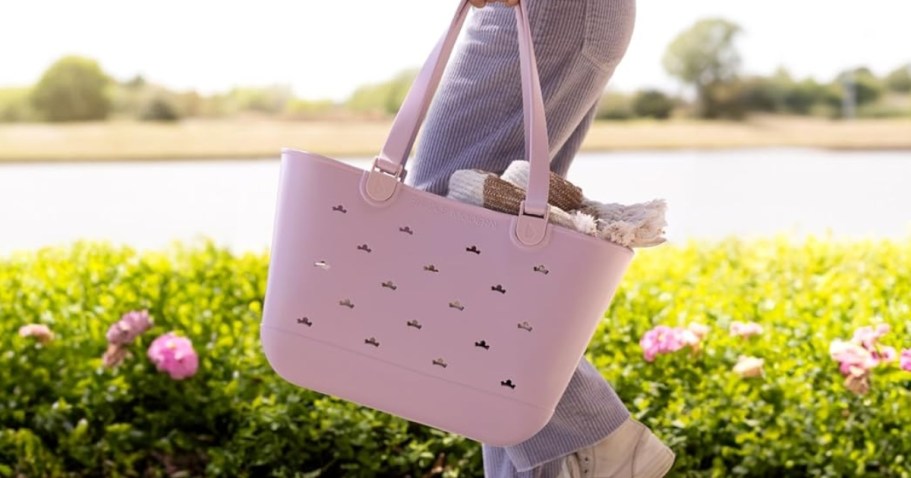 Simple Modern Disney Totes from $37.50 Shipped on Amazon – Bogg Bag Look for Less!