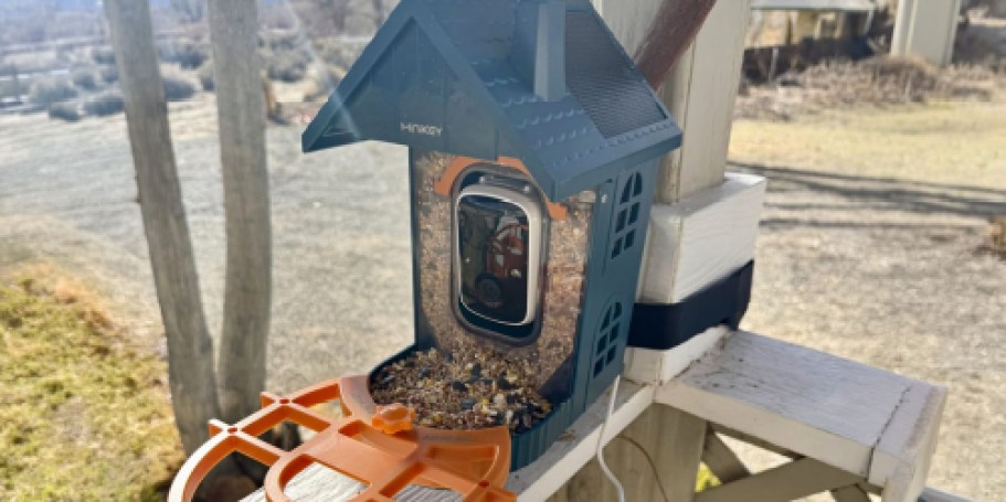 Solar-Powered Smart Bird Feeder Only $29.99 Shipped on Amazon (Reg. $100)