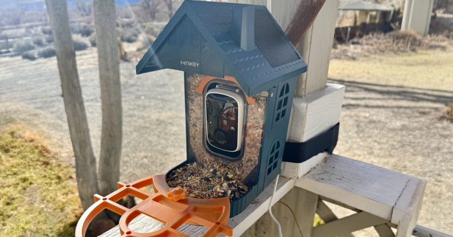 Solar-Powered Smart Bird Feeder Only $29.99 Shipped on Amazon (Reg. $100)