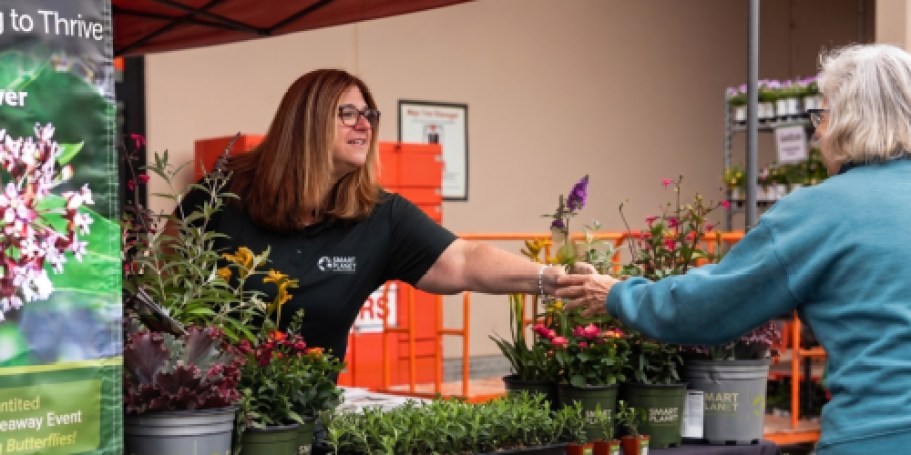 Free Milkweed Plants at Select Home Depot Stores (Yes, Really!)