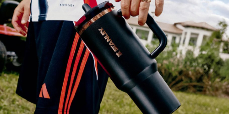 Stanley & Hydro Flask Water Bottles from $14.99 Shipped for Prime Members!
