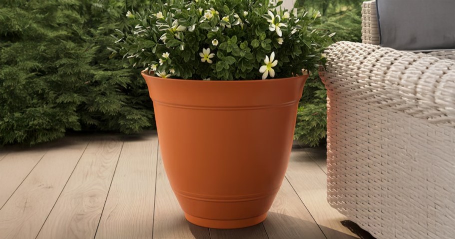 Shop Lowe’s SpringFEST Sale NOW (+ Get a Sneak Peek at NEW Deals Starting 4/9!)