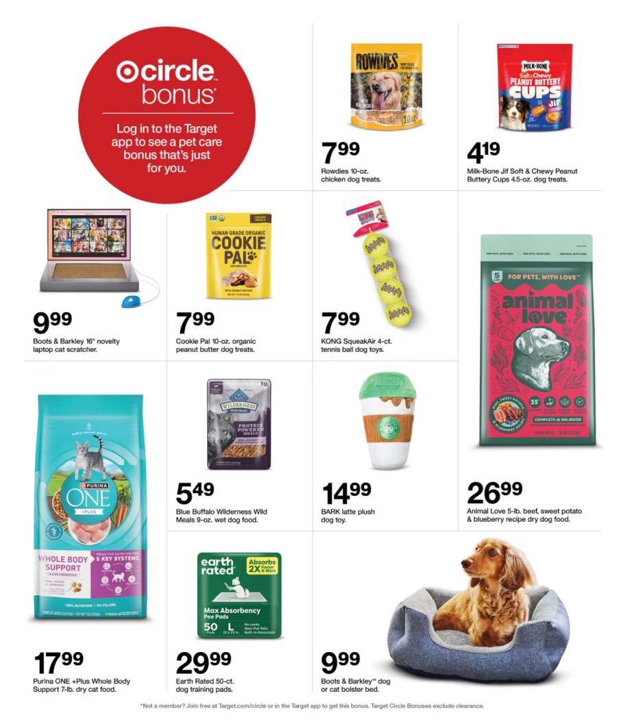 page from Target ad