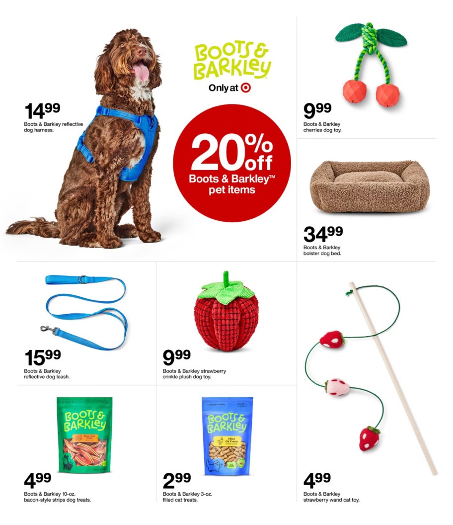 page from Target ad