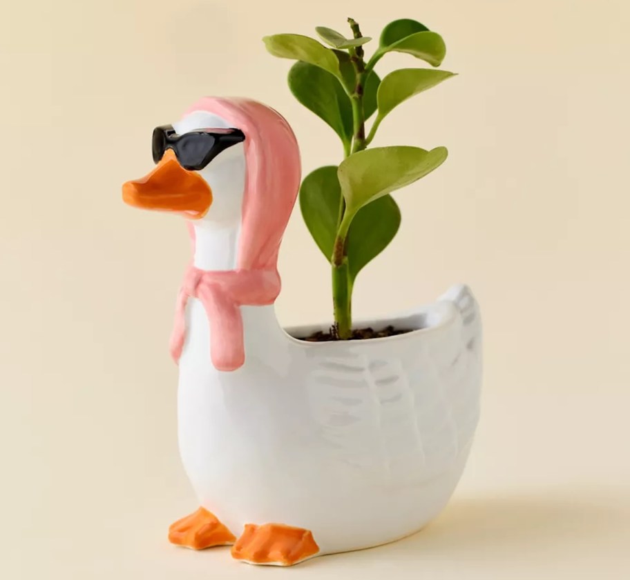 funny goose planter with green plant