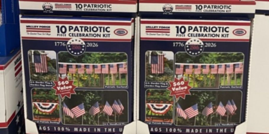 *NEW* Sam’s Club Patriotic Decor | American Flag Kit Just $34.76 ($60 Value)