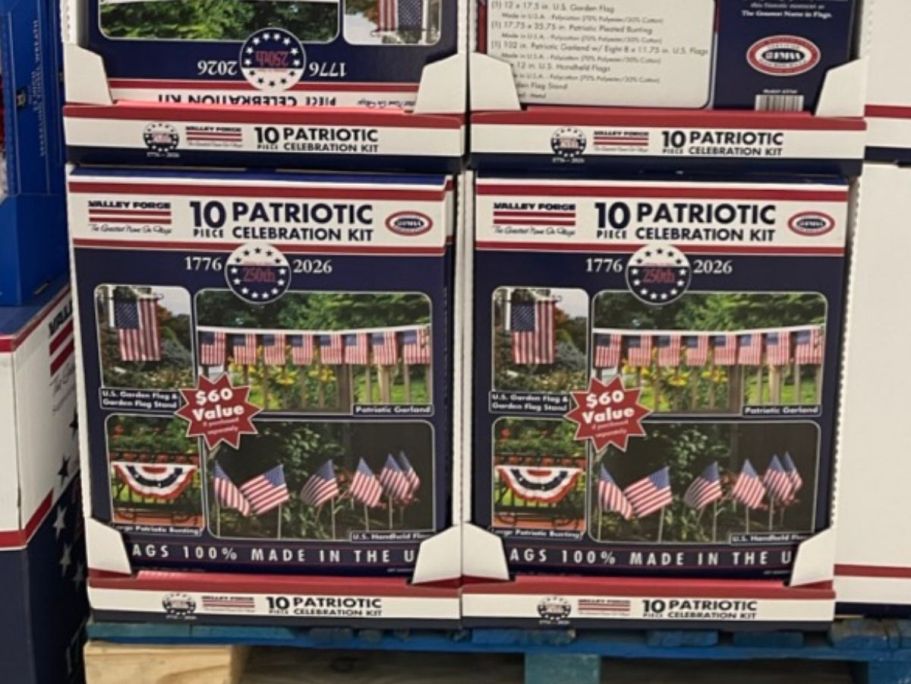 *NEW* Sam’s Club Patriotic Decor | American Flag Kit Just $34.76 ($60 Value)