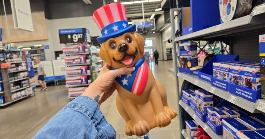 Way To Celebrate Patriotic Lighted Dog Blow Mold in hand in store