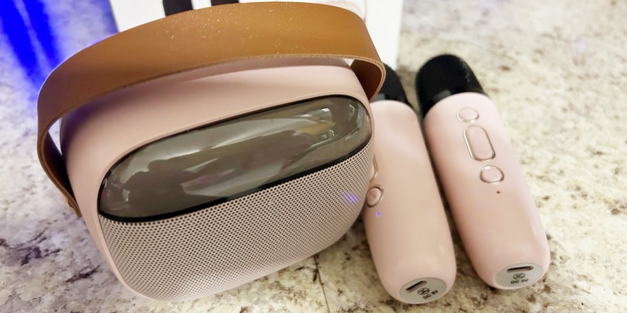 pink karaoke machine with two mics 