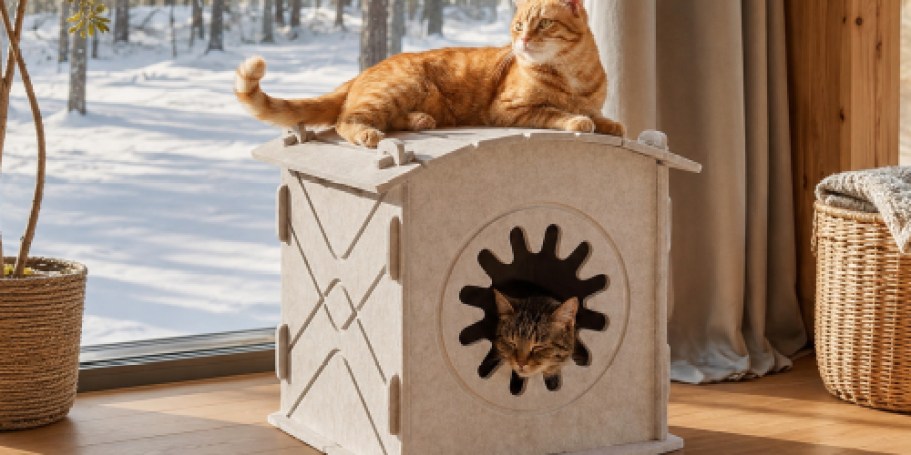 Foldable Cat House Just $13.64 on Amazon (Reg. $25)