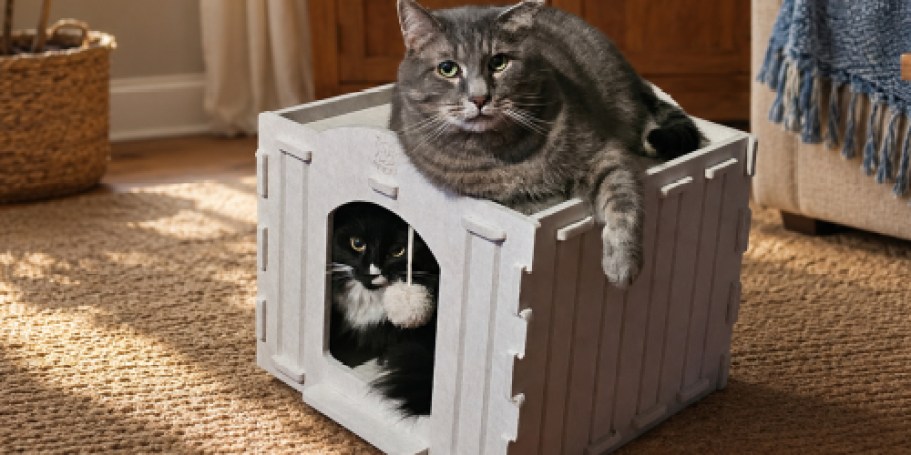 Foldable Cat House Just $13.59 on Amazon (Reg. $25)