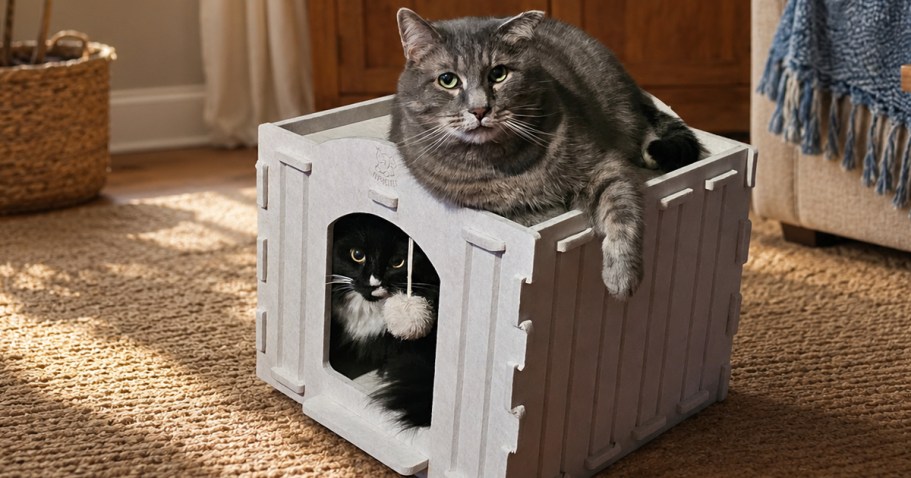 Foldable Cat House Just $13.59 on Amazon (Reg. $25)