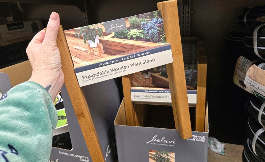 hand holding wooden plant stand 