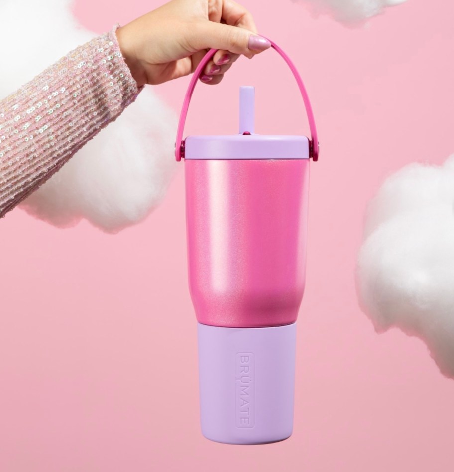 hand holding pink and purple brumate tumbler with pink background with clouds