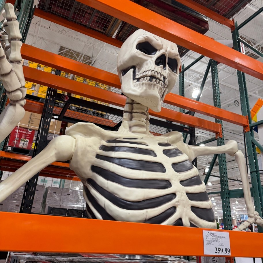 giant skeleton on a store shelf