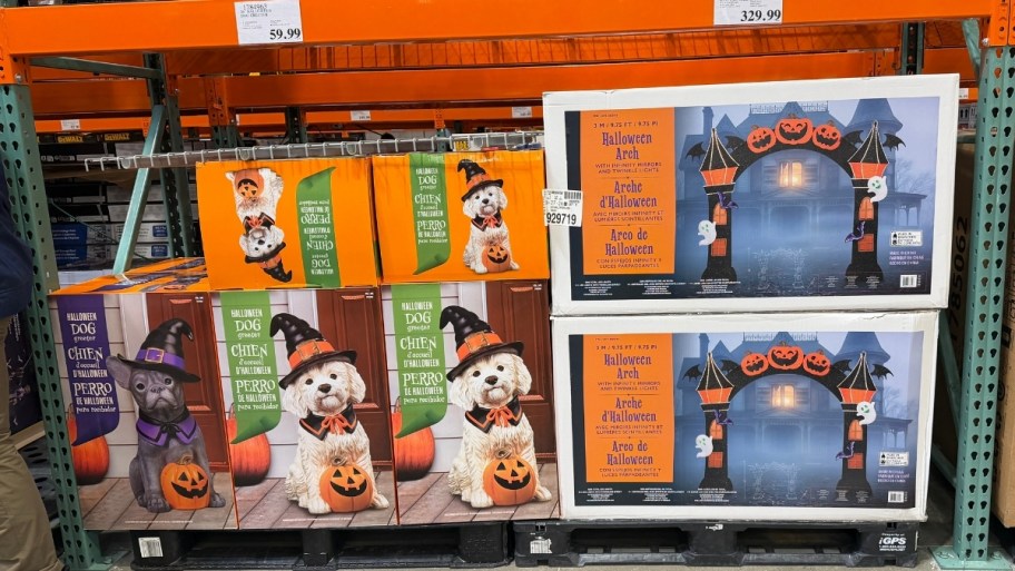 outdoor halloween decor on a store shelf