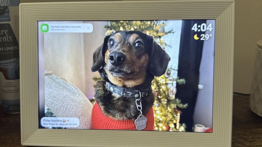 white digital frame with dog on it