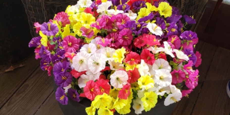 5 Amazon Top Sellers from Yesterday You Can Still Grab