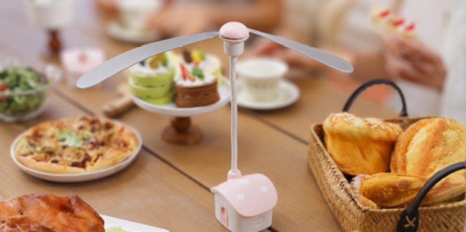 Fly Fans 4-Pack Just $11.99 on Amazon (Only $3 Each) | Keeps Bugs Away from Food