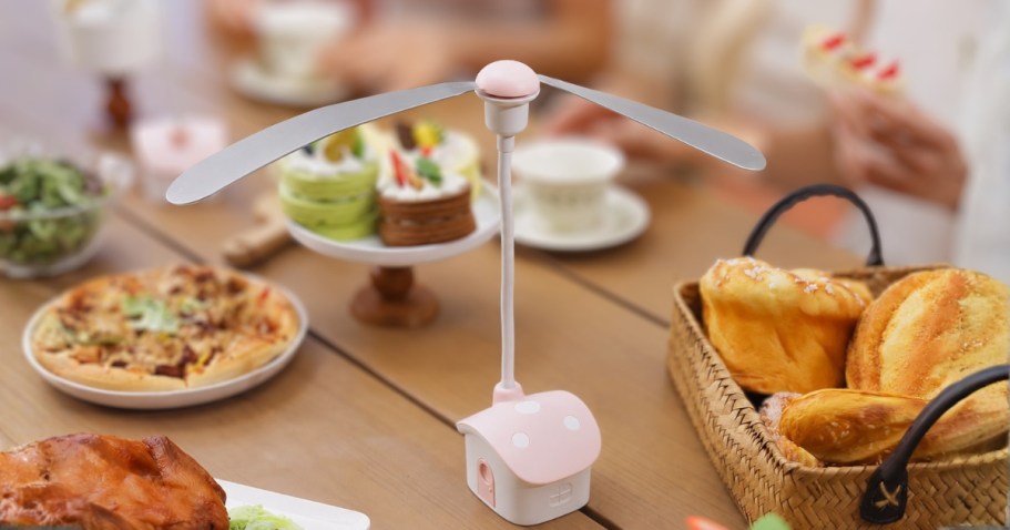 Fly Fans 4-Pack Just $11.99 on Amazon (Reg. $30) | Keeps Bugs Away from Food