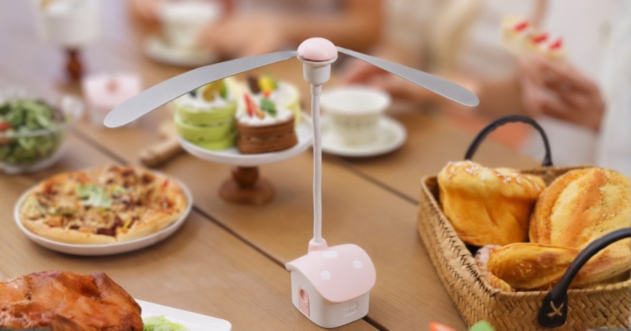 a pink and white fly fan with a house shaped base on a picnic table with food