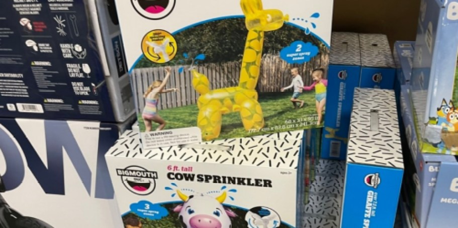 We Spotted Even Lower Prices on Sam’s Club Water Toys!