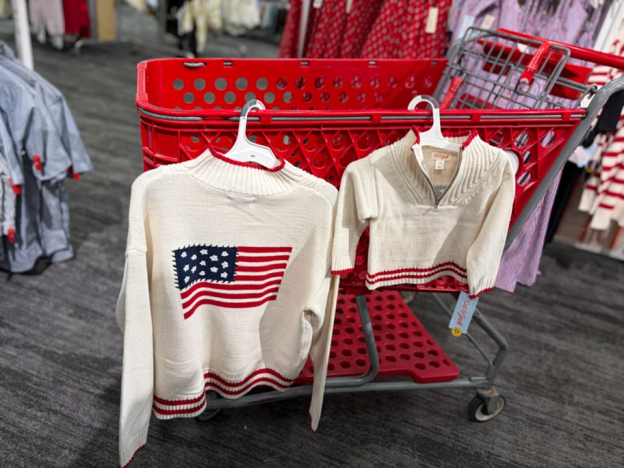 Two sweaters hanging on display, one larger with an American flag design and one smaller, both in a shopping cart with red accents.
