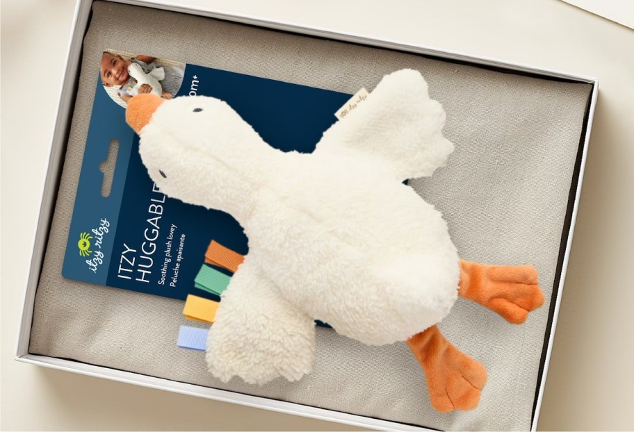goose plush animal in box