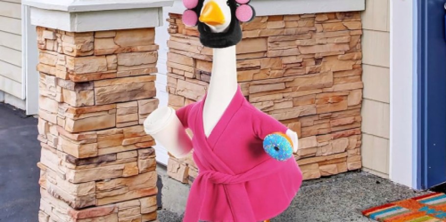 Cute Porch Goose Outfits from $18.99 on Amazon (Reg. $24)