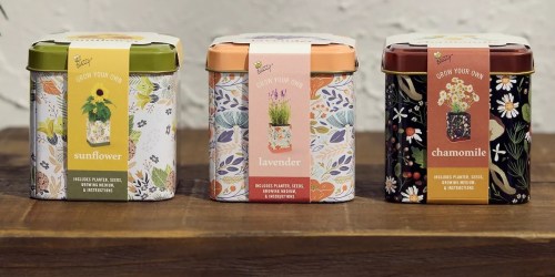 10 BEST Mother’s Day Gifts on Kohls.com