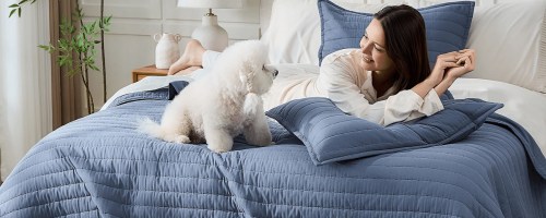 woman and dog laying on blue quilt on bed