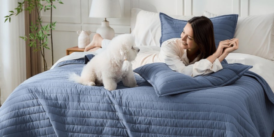 Up to 60% Off Litanika Quilt Sets + Free Shipping | Styles from $27.50 Shipped (Reg. $70)